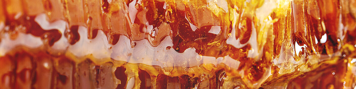 Close up of rich, golden honeycomb