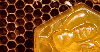 Thumbnail: Honey Soap Benefits: The Sweet Reality of This Nourishing Soap