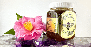 MGO 300+ Honey next to a flower