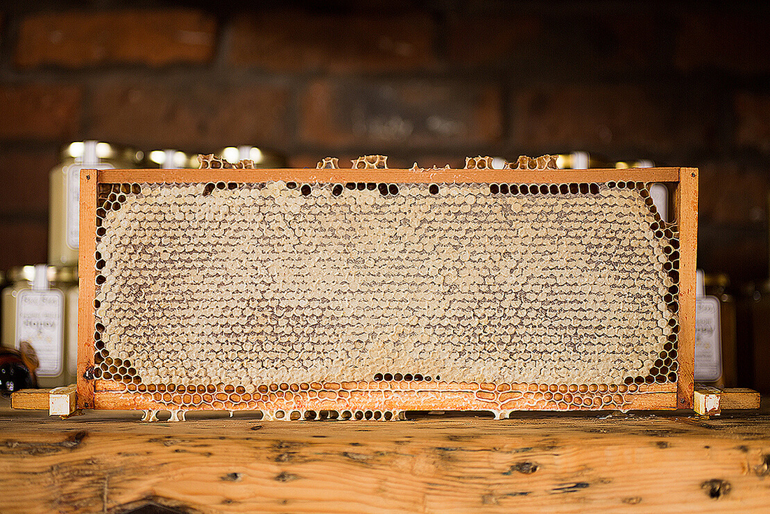 Photo by Jonathan Farber on Unsplash Frame of capped Honey