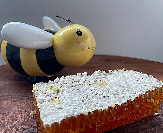 a fake bee next to real honeycomb