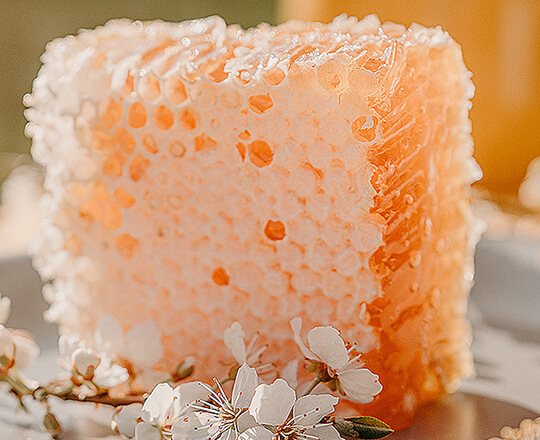 Photo by Anita Austvika on Unsplash A cut of Honeycomb
